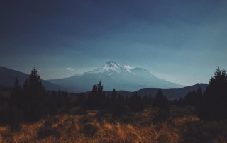 upcoming fire season, Community Resiliency, fire resiliency, wildfire preparation | Photo by Jeff Finley on Unsplash | Mount Shasta Bioregional Ecology Center