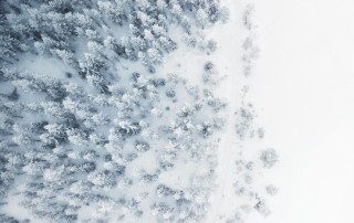 Trees covered in snow from aerial view. By Gabriel Alenius