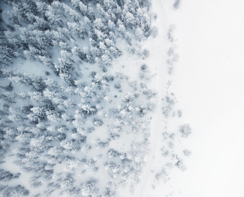 Trees covered in snow from aerial view. By Gabriel Alenius